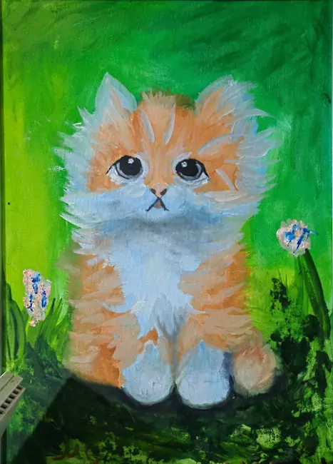 Котик